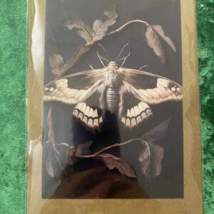 Moth