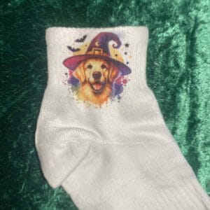 Golder retriever socks