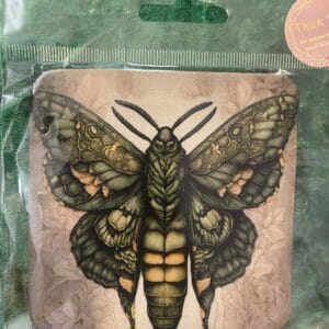 Green butterfly coaster
