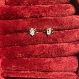 spider earrigs