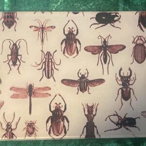 Bug glass chopping board
